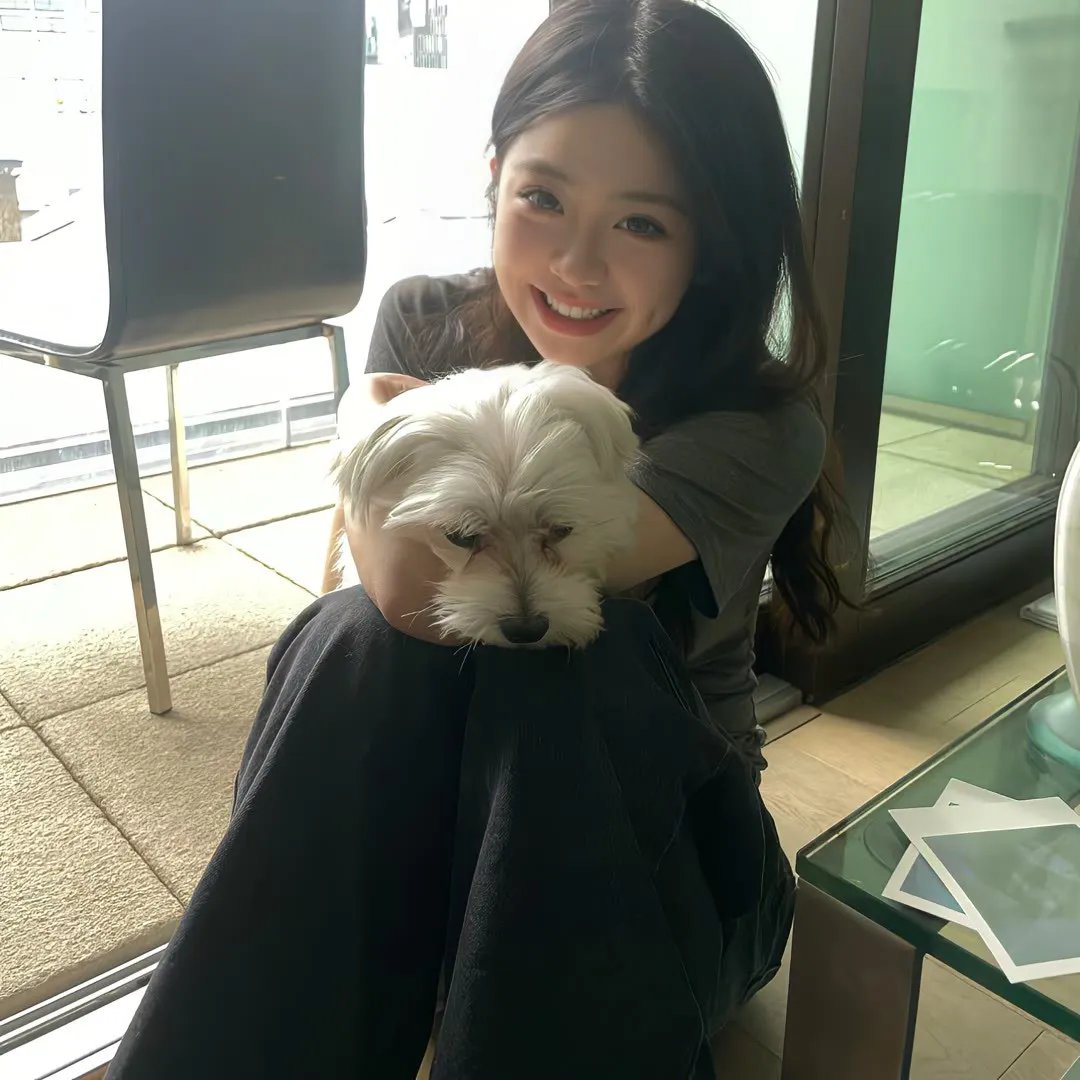 军犬麦斯 2：白宫英雄